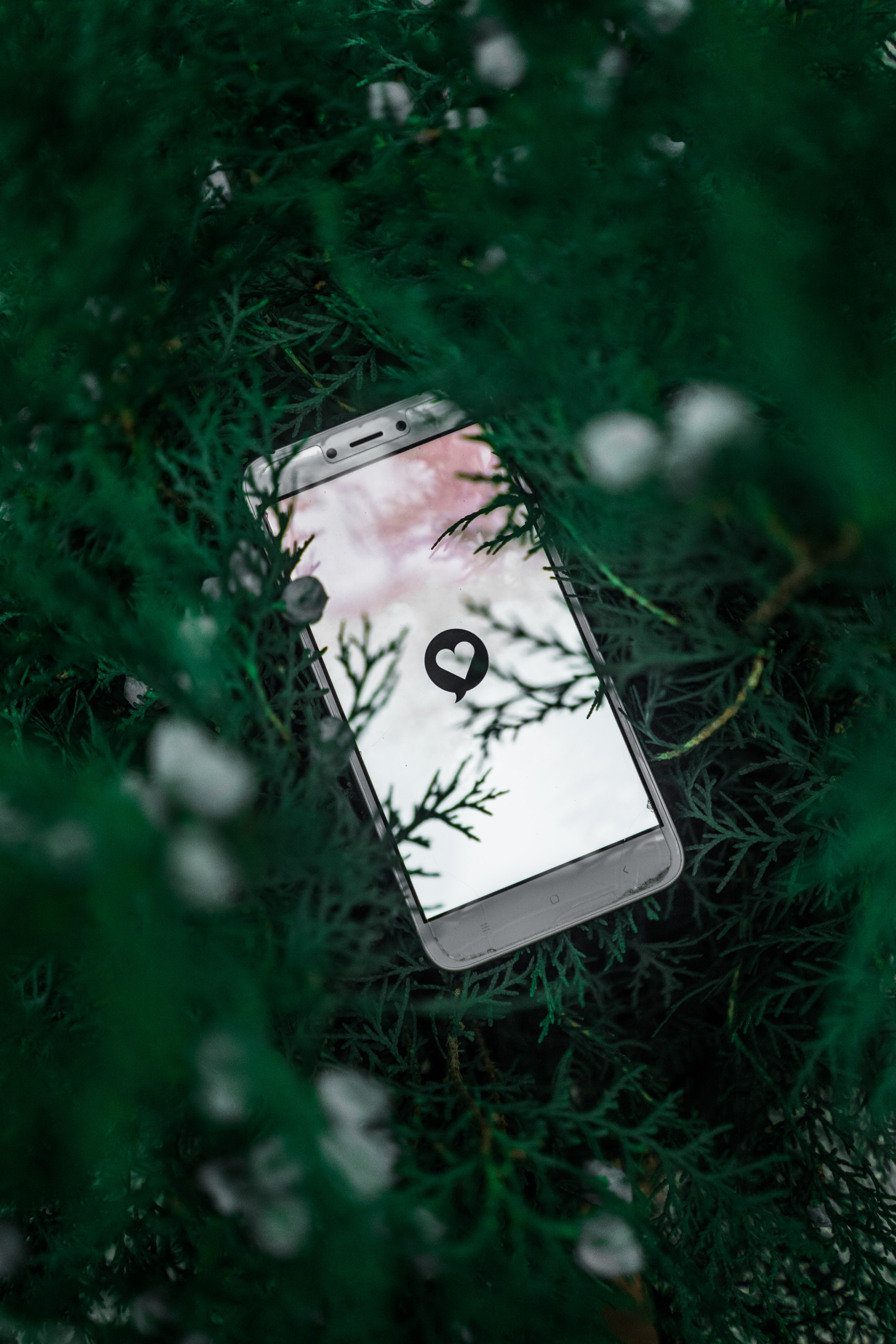 Cell phone in the grass. Lighted screen displaying white background with white heart.