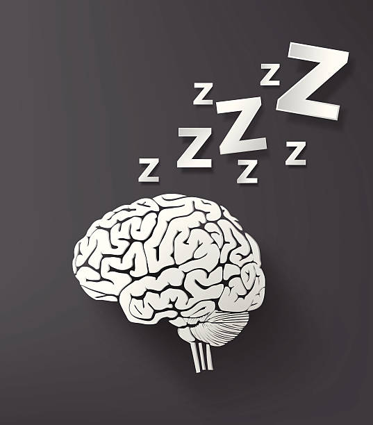a brain with sleeping zzz coming out of it