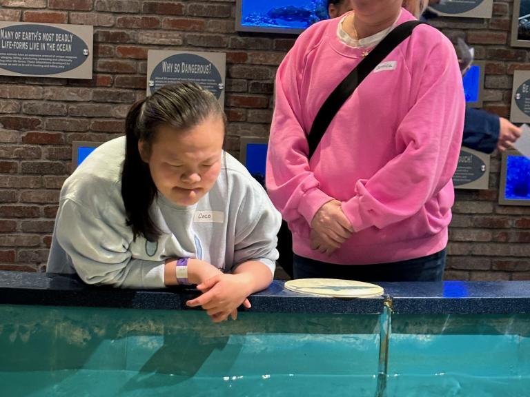 AN attendee looking at the sea creatures in a tank