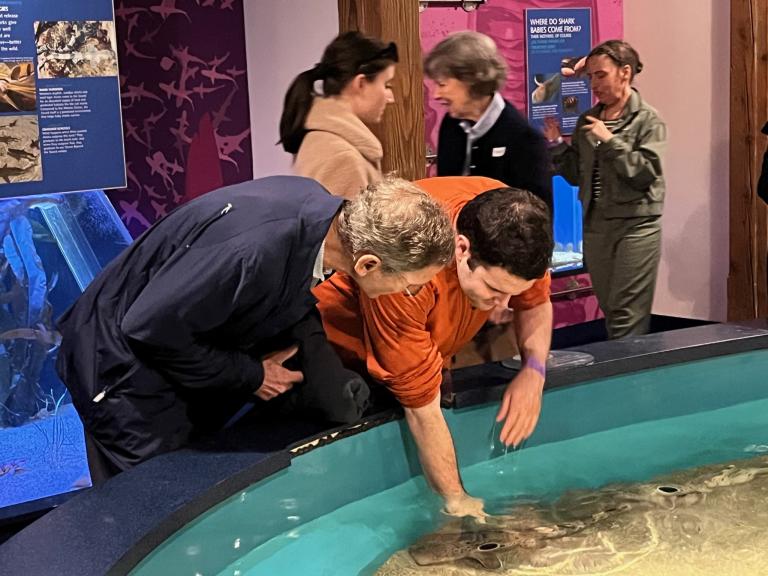 A attendee reaches into the pool to touch an eel 