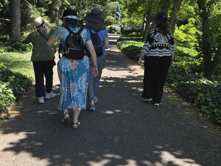 Group of four people walking along a shaded path in a lush green park, surrounded by trees and foliage.