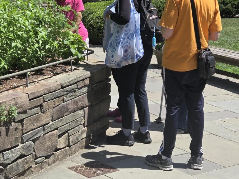 A group of four people interacting in a garden, with a stone wall and lush greenery in the background.