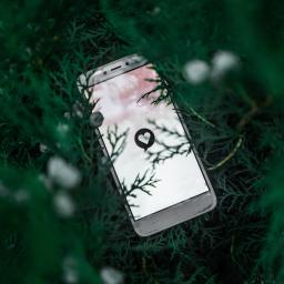 Cell phone in the grass. Lighted screen displaying white background with white heart.