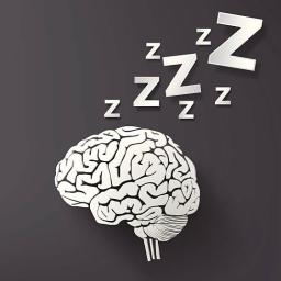 a brain with sleeping zzz coming out of it 